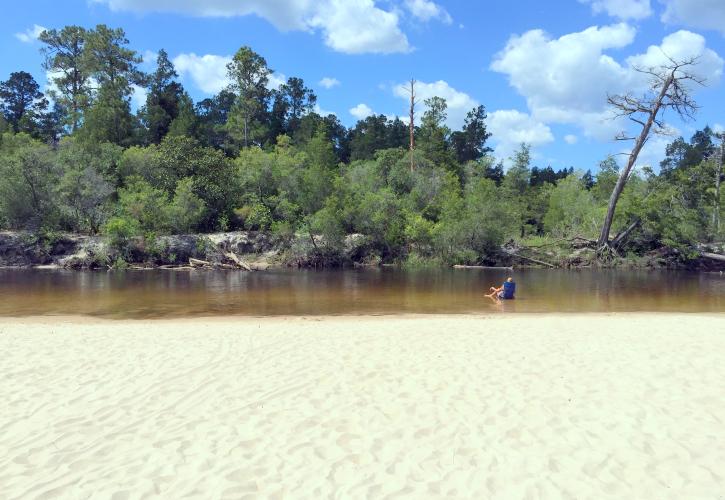 Wide sandy beach along Blackwater River. 